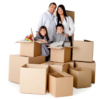 Local van transport for business collections and deliveries