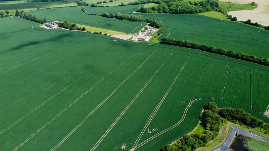 An aerial view of expansive green farmland with neatly divided crop fields, separated by narrow dirt tracks and bordered by clusters of trees. In the upper part of the image, a small rural settlement with a few buildings and farm structures is visible, adjacent to the fields. The landscape is brightly lit with natural daylight, showing the well-maintained agricultural area. There are no furniture or moving-related objects visible in this outdoor rural scene, which provides context for geographic location but does not depict any furniture or relocation activity associated with house removals or transportation services.
