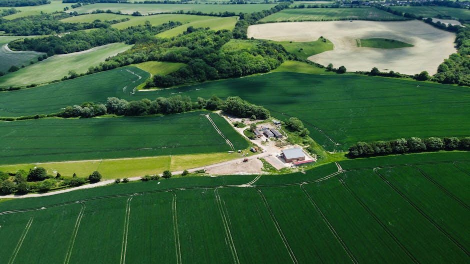 An aerial view of a rural landscape featuring rolling green fields with distinct crop lines, interspersed with patches of trees and small wooded areas. In the foreground, there are several large industrial or agricultural buildings surrounded by paved and gravel areas, possibly farm storage or workshops, with a few vehicles parked nearby. A narrow driveway or access road connects these buildings, extending towards the background through the countryside. The landscape shows a mix of open farmland and clusters of trees, under a clear sky with good natural lighting. This scene illustrates the expansive rural environment typical for house removals and relocation services, highlighting the importance of careful logistics in rural property moves.